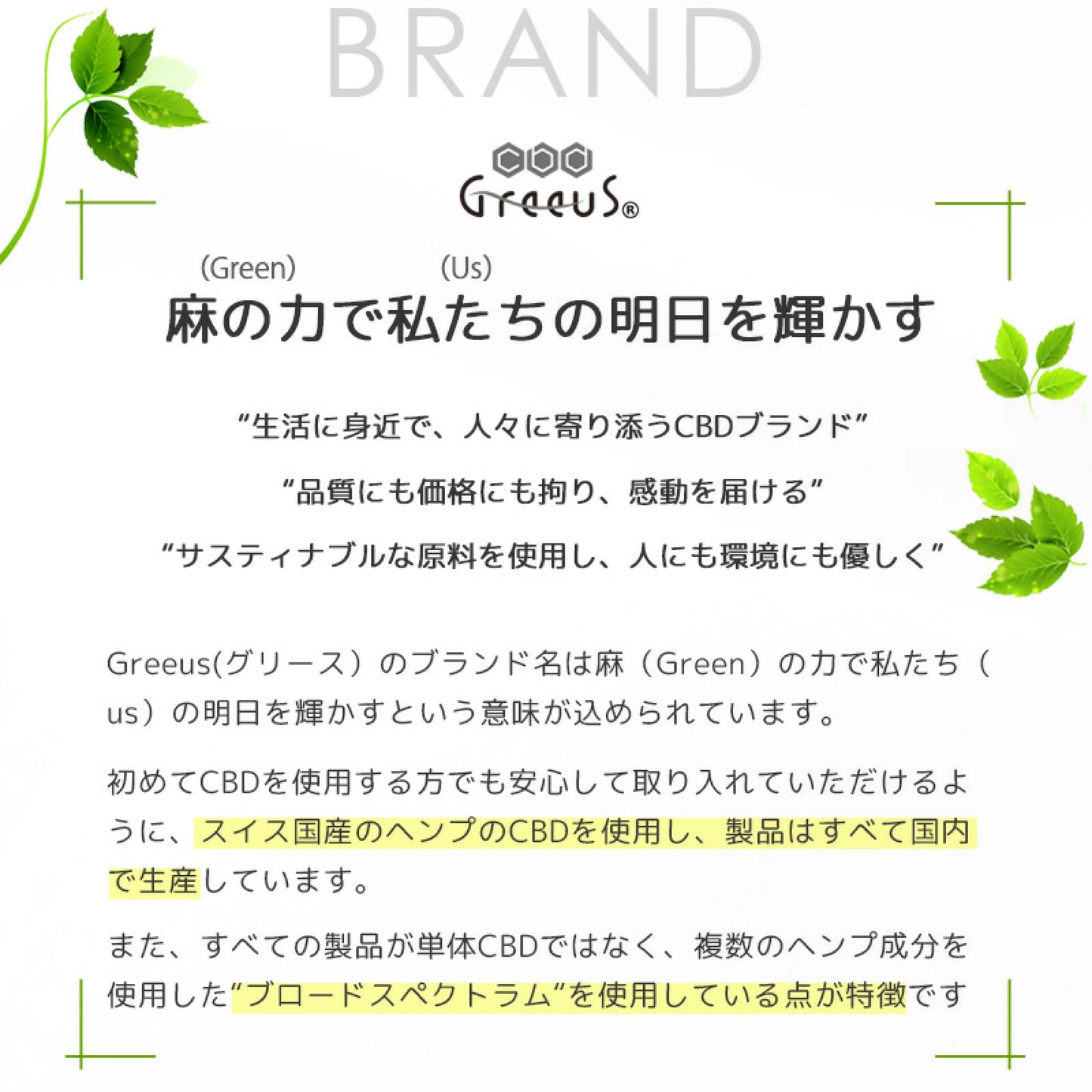 Greeus CBG OIL FOCUS 30ml