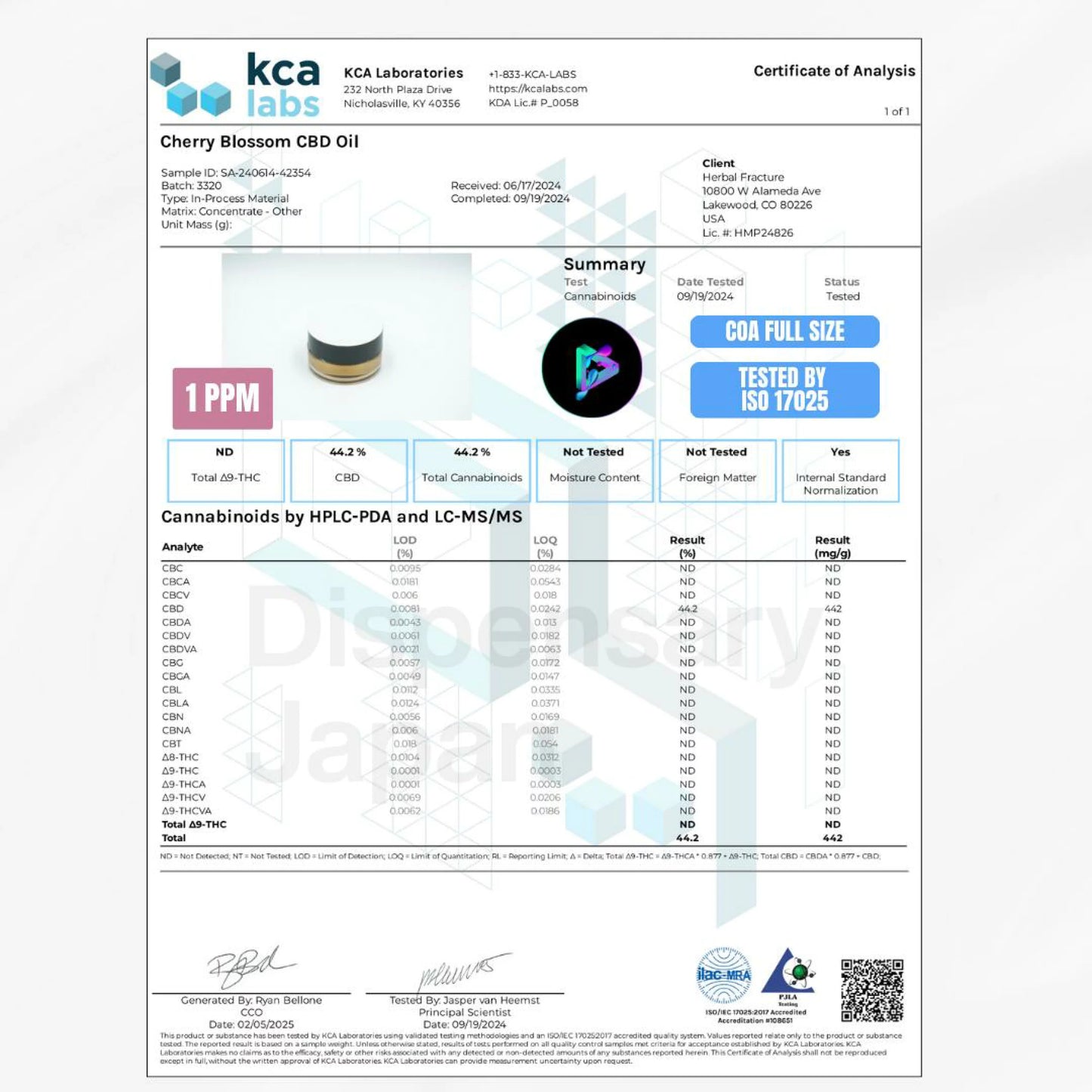 CBD-HI（Cherry Blossom）