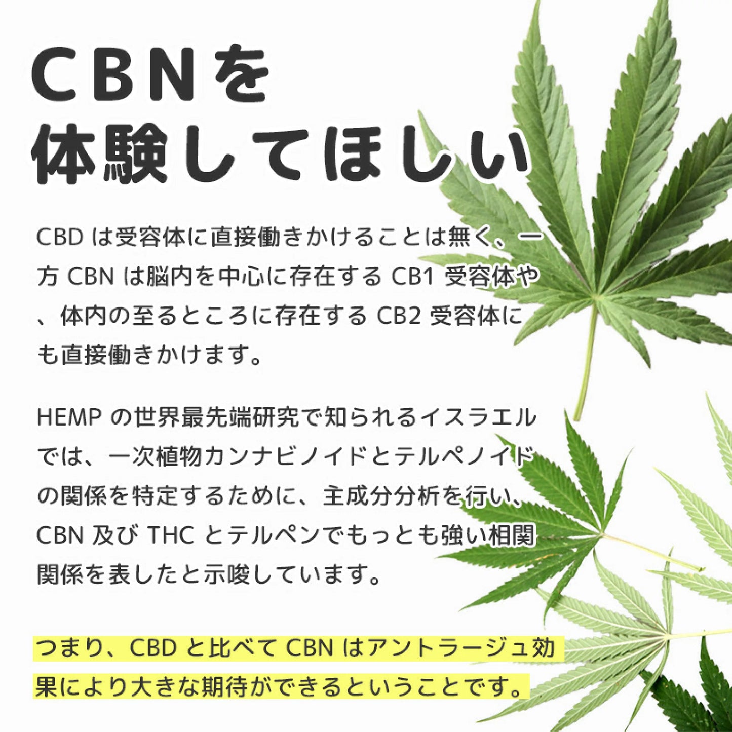 CBD MANIA 高濃度CBNリキッドカ－トリッジ