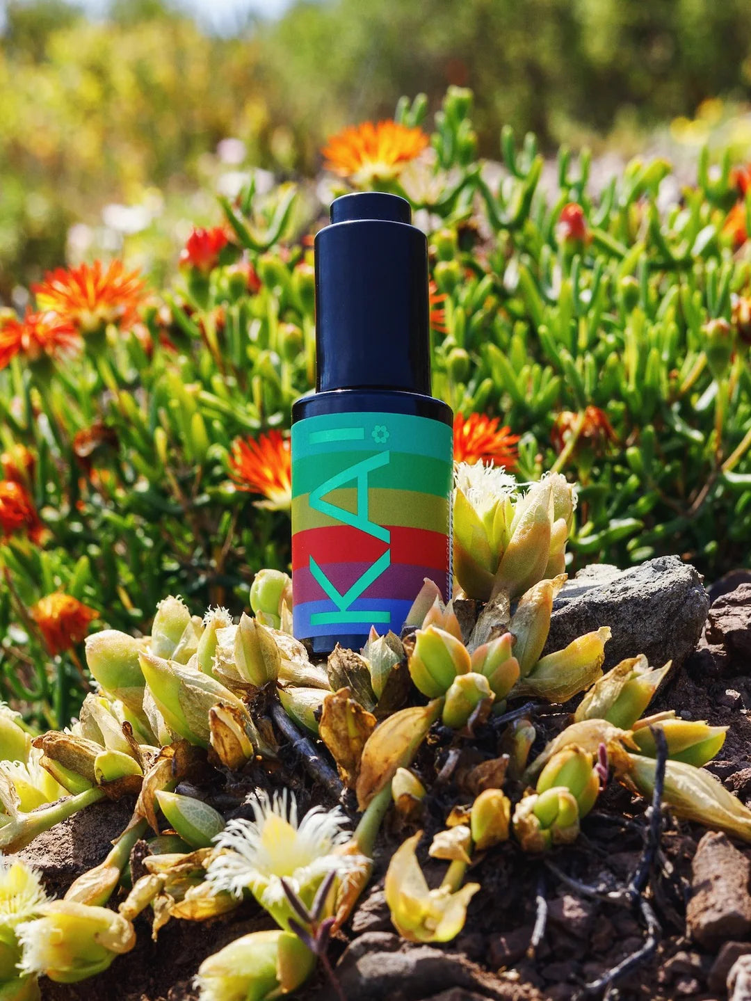 KA!
ミニ カンナティンクチャー