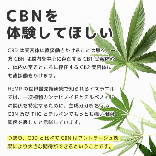CBD MANIA CBNクッキー　CBN420mg