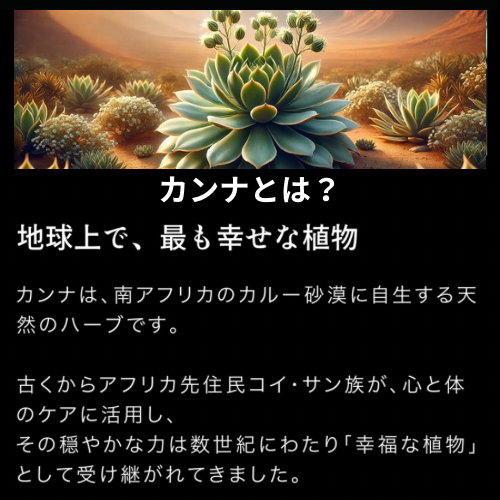 RICHILL NEO PODタイプ　　　Sun Rise CBG 10%+カンナ10%