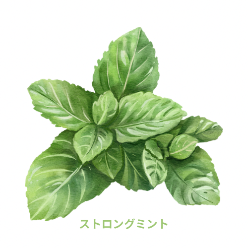 RICHILL POD ストロングミント　CBG30%&カフェイン