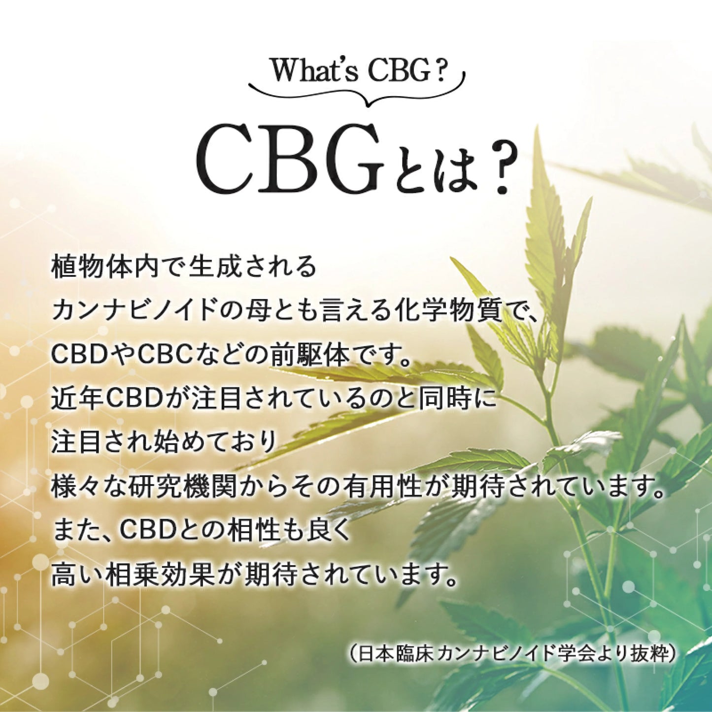 CannaTech CBGグミ10粒
