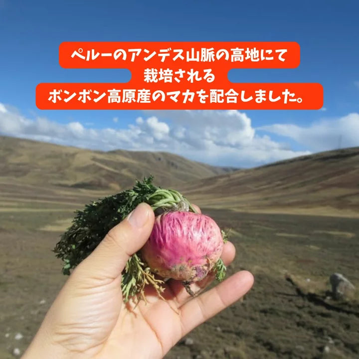 【CBNグミ+マカ】 アンドレーヌさ
んのCBNグミ　30粒入り