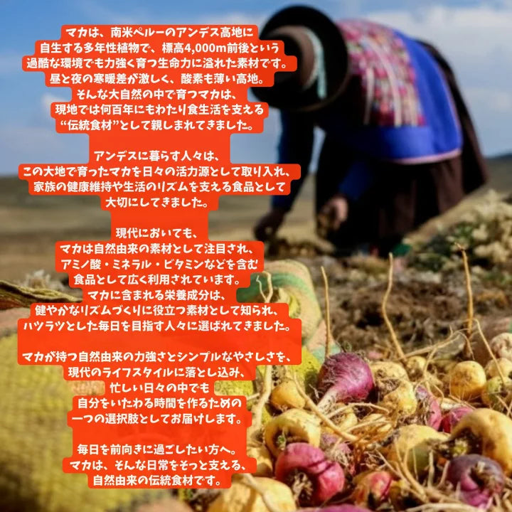 【CBNグミ+マカ】 アンドレーヌさ
んのCBNグミ　30粒入り
