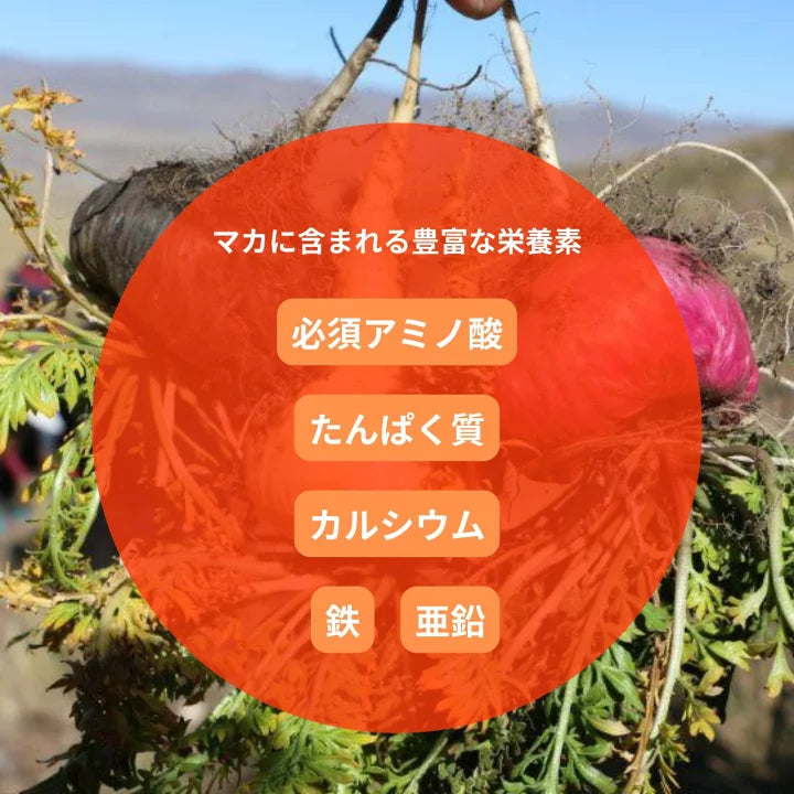 【CBNグミ+マカ】 アンドレーヌさ
んのCBNグミ　30粒入り