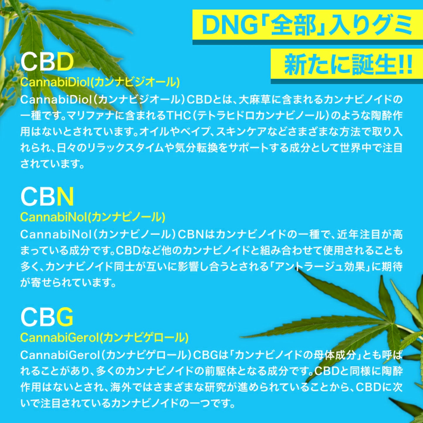 VapeMania NIGHT & DAY cbd グミ