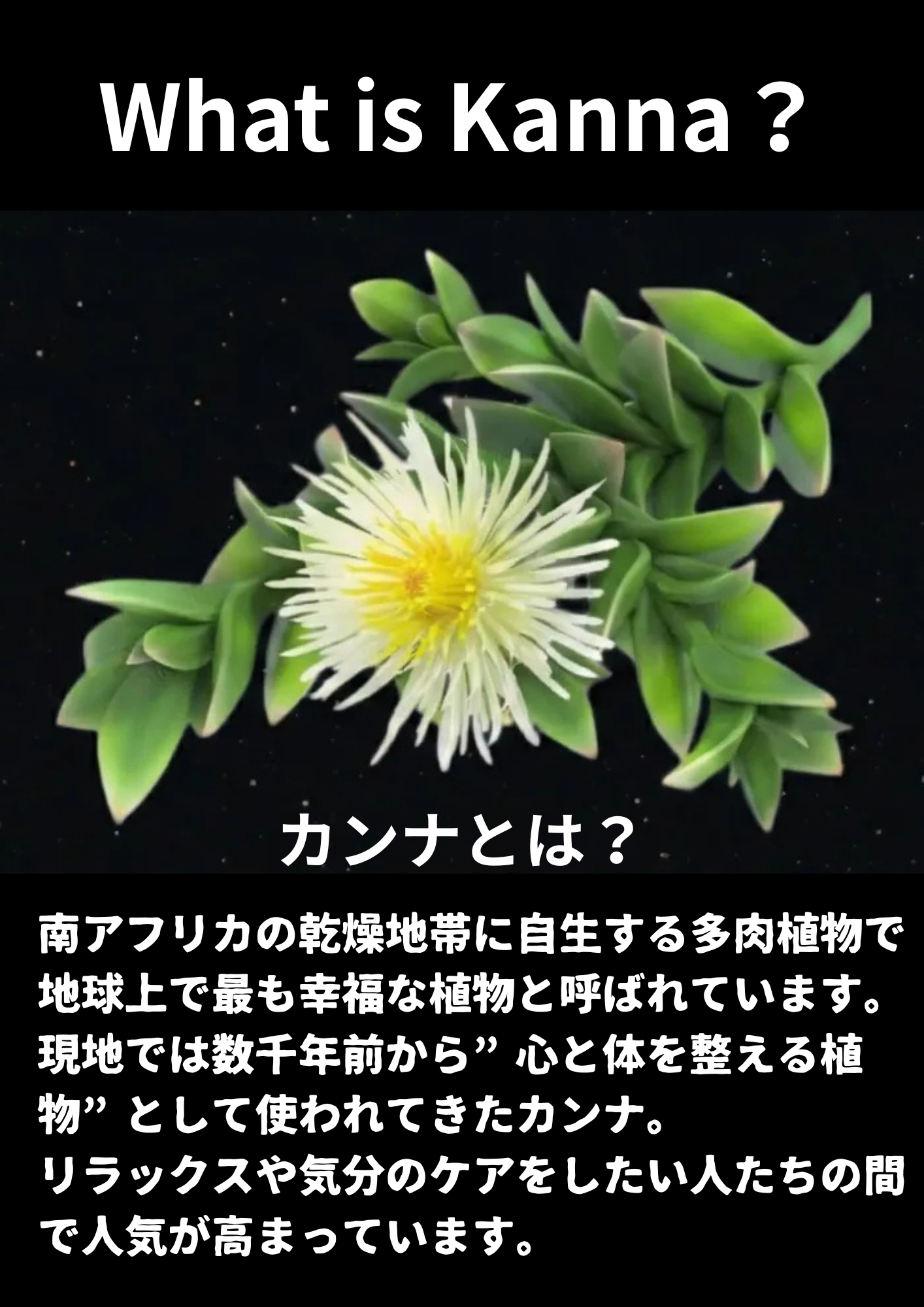 CBD OSAKA KANNA LIQUID 1ml