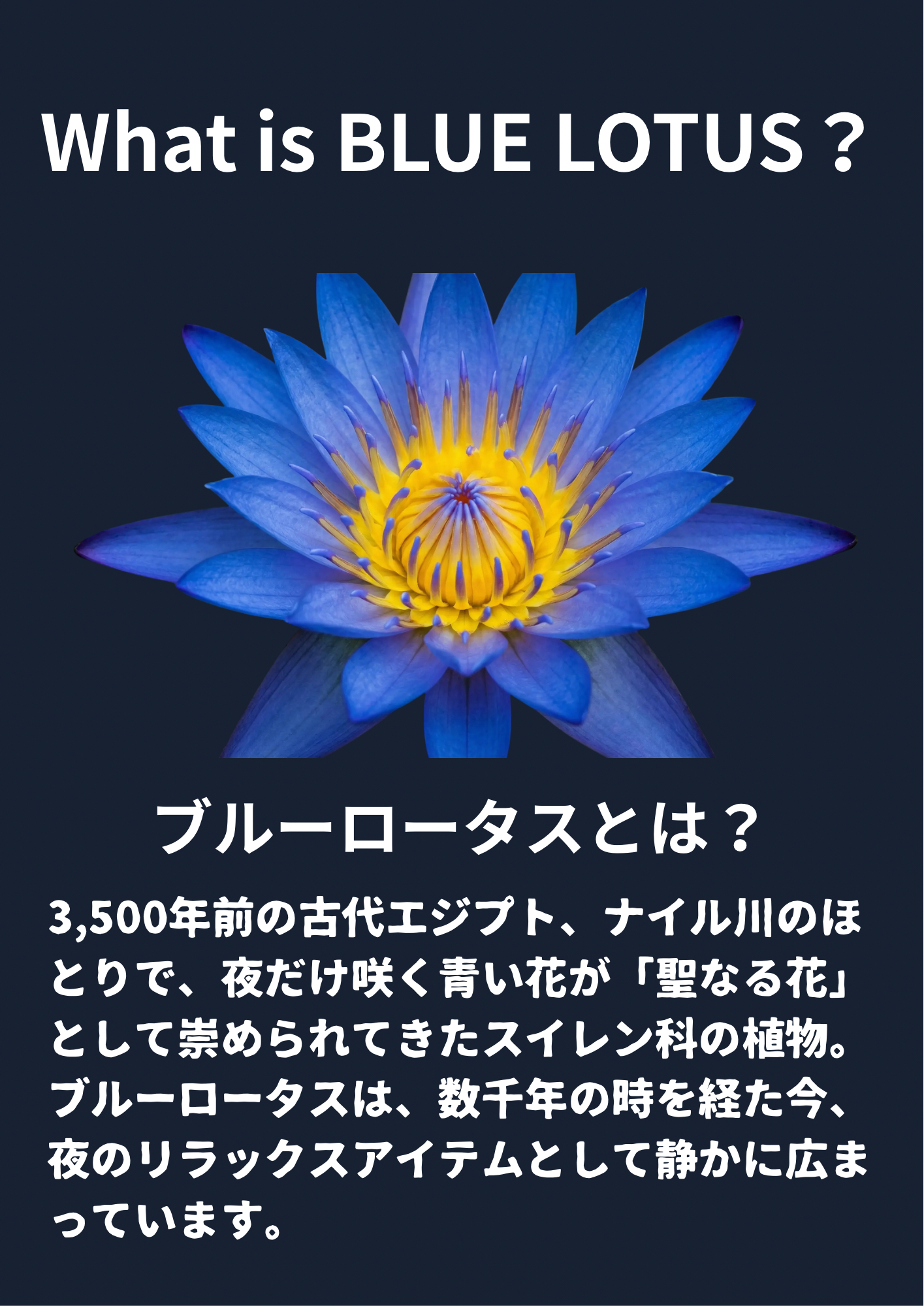 CBD OSAKA BLUE LOTUS LIQUID 1ml