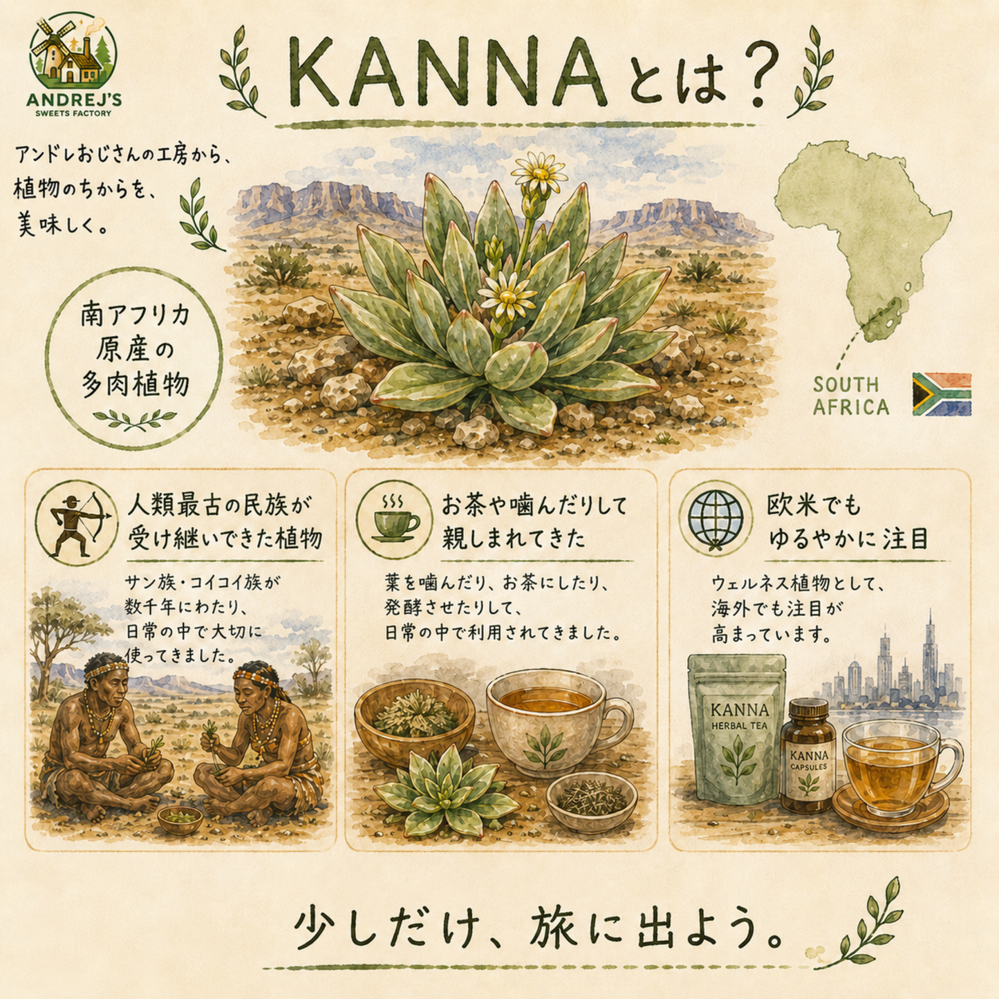 アンドレおじさんのKANNA,CBDクッキー KANNA80mg CBD20mg